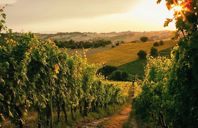 Sanders Arsorama Arsos - Foto 57