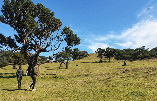Enchanted Terraces Half-Day Trip - Photo 12