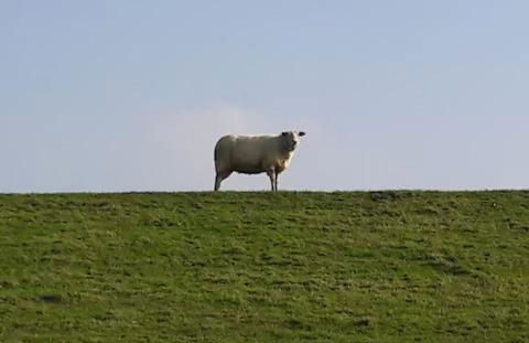 Ferienwohnung Schmettau - Photo 11