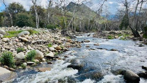 Riverfront with EV charger - Sequoia River Cottage - Foto 4