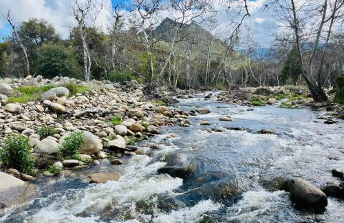 Riverfront with EV charger - Sequoia River Cottage - Foto 4