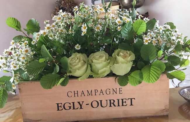 Agriturismo Monte a Pescia - Foto 3