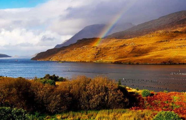 Killary Fjord Kayak Tour - Foto 4