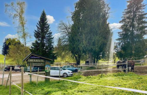 Lindners Hideaways - Bergnest Lodge - Bergblick Fewo 6 Pers Balkon Garten Hund Ski Unterkunft Luftkurort Oberreute nähe Buchenegger Wasserfälle Eistobel Bodensee - Foto 44