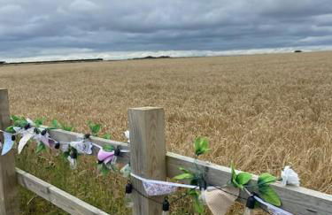 Beautiful Rural Holiday Chalet - Foto 41