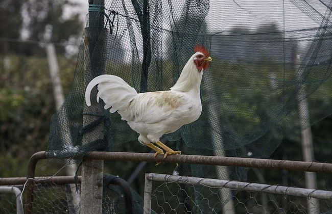 Agriturismo La Borina - Foto 43