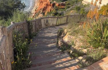 Maria Apartment Cabo Roig - Foto 32