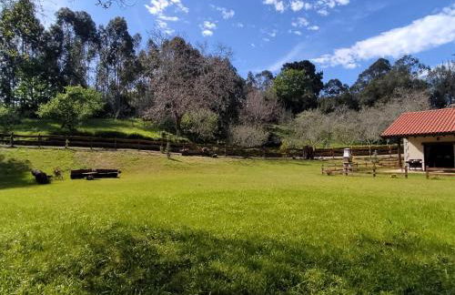 Cueva les Pedroses - Foto 13