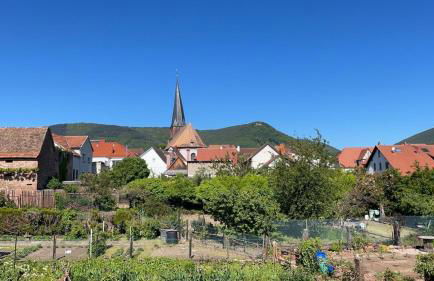 Ludwigshöhe EG - Foto 11