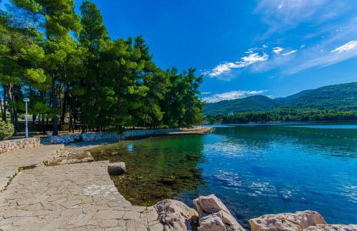 House Oliva with private pool and large garden - Photo 74