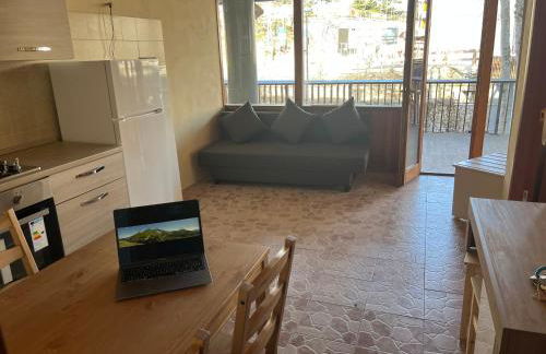 TERMINILLO - I Fiori del Terminillo - Tre Faggi - Foto 30