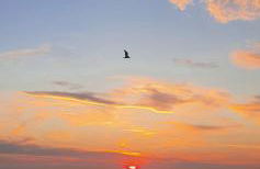 Haus Malta Wohnung 2, 300m zum Strand - Foto 18