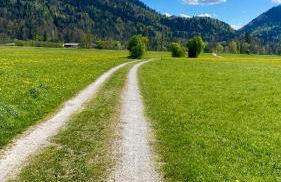 Apartment Bergnest - Photo 13