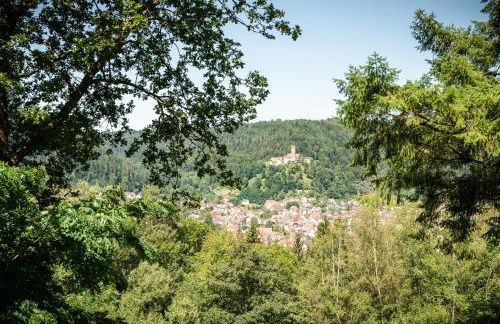 1-Zimmerapartment Am Hochwald - Foto 13