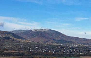 Świerkowy Zakątek u Bacy - Foto 39