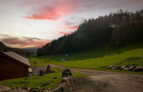Cherry Cabin - Little Log Cabin in Wales - Foto 21