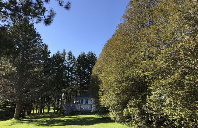 By The Bay Cottages - Foto 12