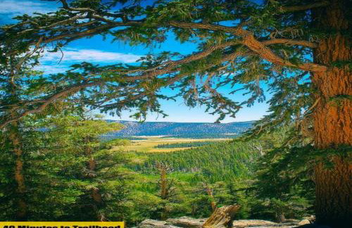 Cozy Muir Cottage - In Town - Pet Friendly - Foto 11