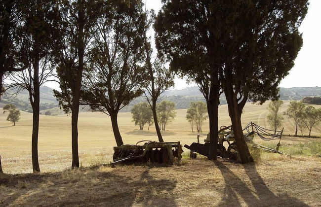 Fattoria Podere i Luoghi - Foto 60