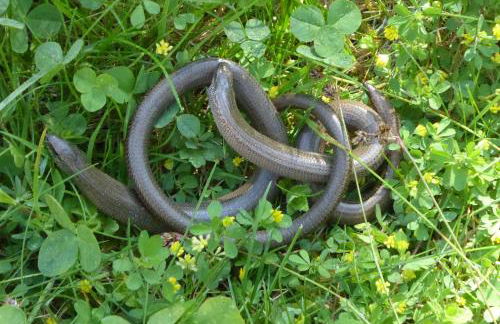 Casa Karp "Maisonette" - Foto 18