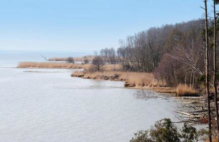 Four Winds - Foto 25