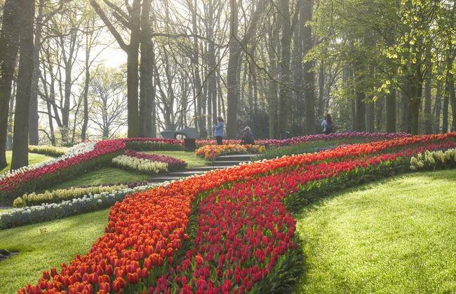 Entradas para Keukenhof - Photo 6