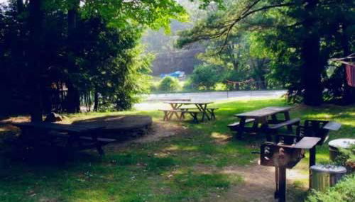 Amber Lantern One-Bedroom Cottage - Foto 4