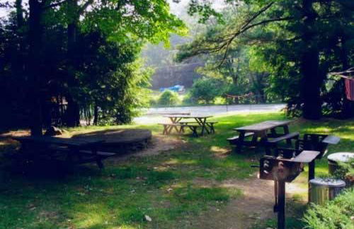 Amber Lantern One-Bedroom Cottage - Foto 4