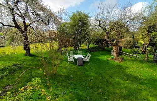 Ferienhaus 1893 Frielendorf - Photo 36