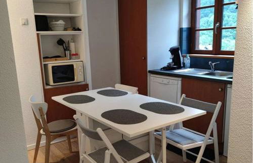 Studio à Cauterets avec piscine et animaux admis - FR-1-812-94 - Photo 10