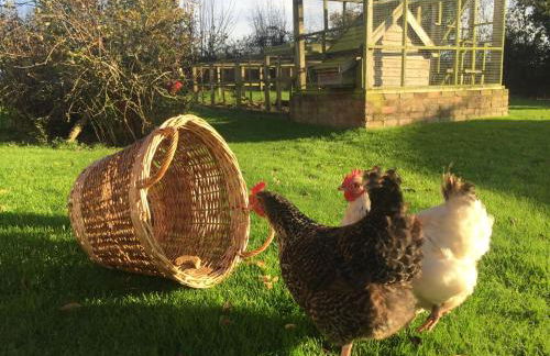 The Stable with cozy logburner - Foto 66