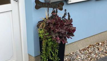 Ostsee-Ferienhaus Colonia, Biendorf-Wischuer - Foto 4