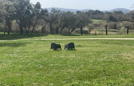 casa rural de un artista en plena naturaleza piscina y parque de esculturas en villarcayo - Photo 45