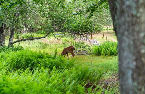 Hideaway Hot Tub Sunna Lake Kayaks Pool - Foto 25