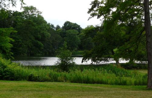 Appartement auf Rügen - Foto 57