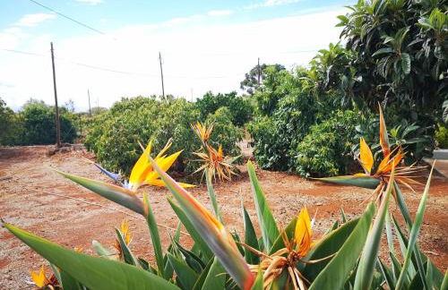 Pino Redondo - Foto 45