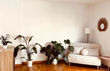 La Puerta de Viana, con garaje, txoko y piscina! - Foto 6