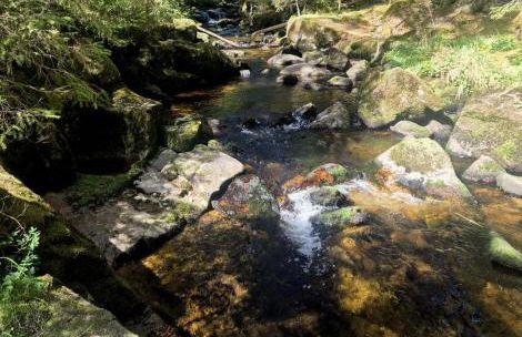Schwarzwaldstube Alpenblick - Foto 37