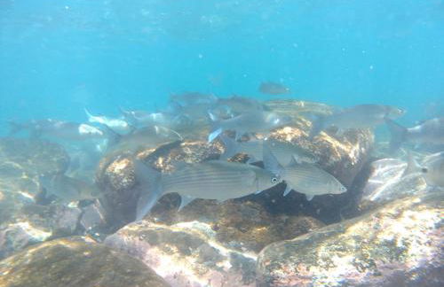 Guanabara Park 104 - Foto 42