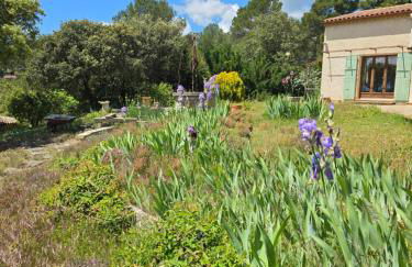 Les Oliviers Du Lac - Foto 10