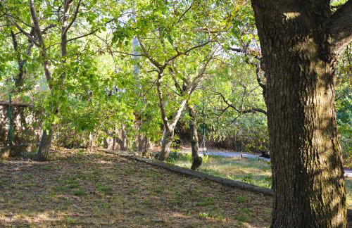 FoREST Heritage Apartment - Foto 33