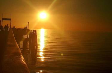 Ferienwohnung Boddenzander - Foto 26