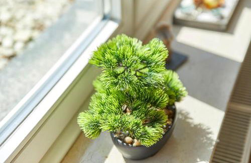 Ferienwohnung Gudrun - Foto 24