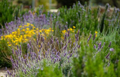 La Pietra Maisonettes - Foto 11