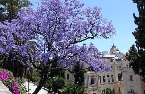 Stay Home & Away in the Heart of Historic Town of Malaga - Photo 37