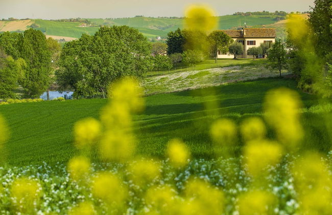 Inviting Holiday Home in San Costanzo With Swimming Pool - Foto 37