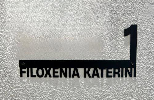 Filoxenia Katerini - Foto 20
