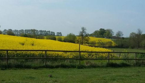 Krügerhof Lübbersdorf - Foto 5