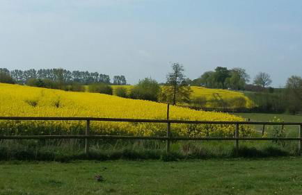Krügerhof Lübbersdorf - Foto 5