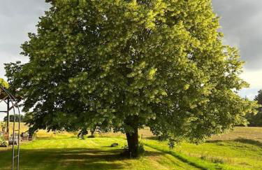 Gîte Les Petits Belézins - Foto 35